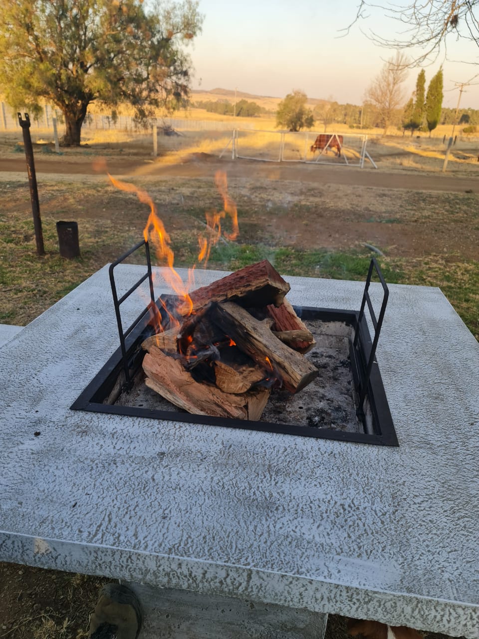 Karoo Fire Table